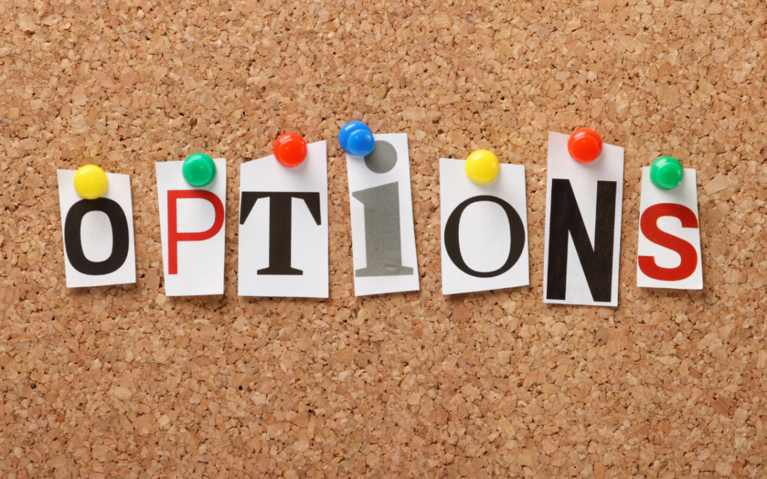 Exploring Diverse Investment Options: An Analytical Approach