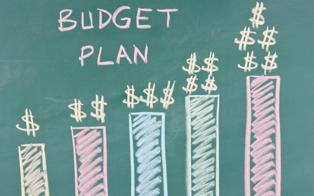 Mastering Pay It Later: Budgeting Insights